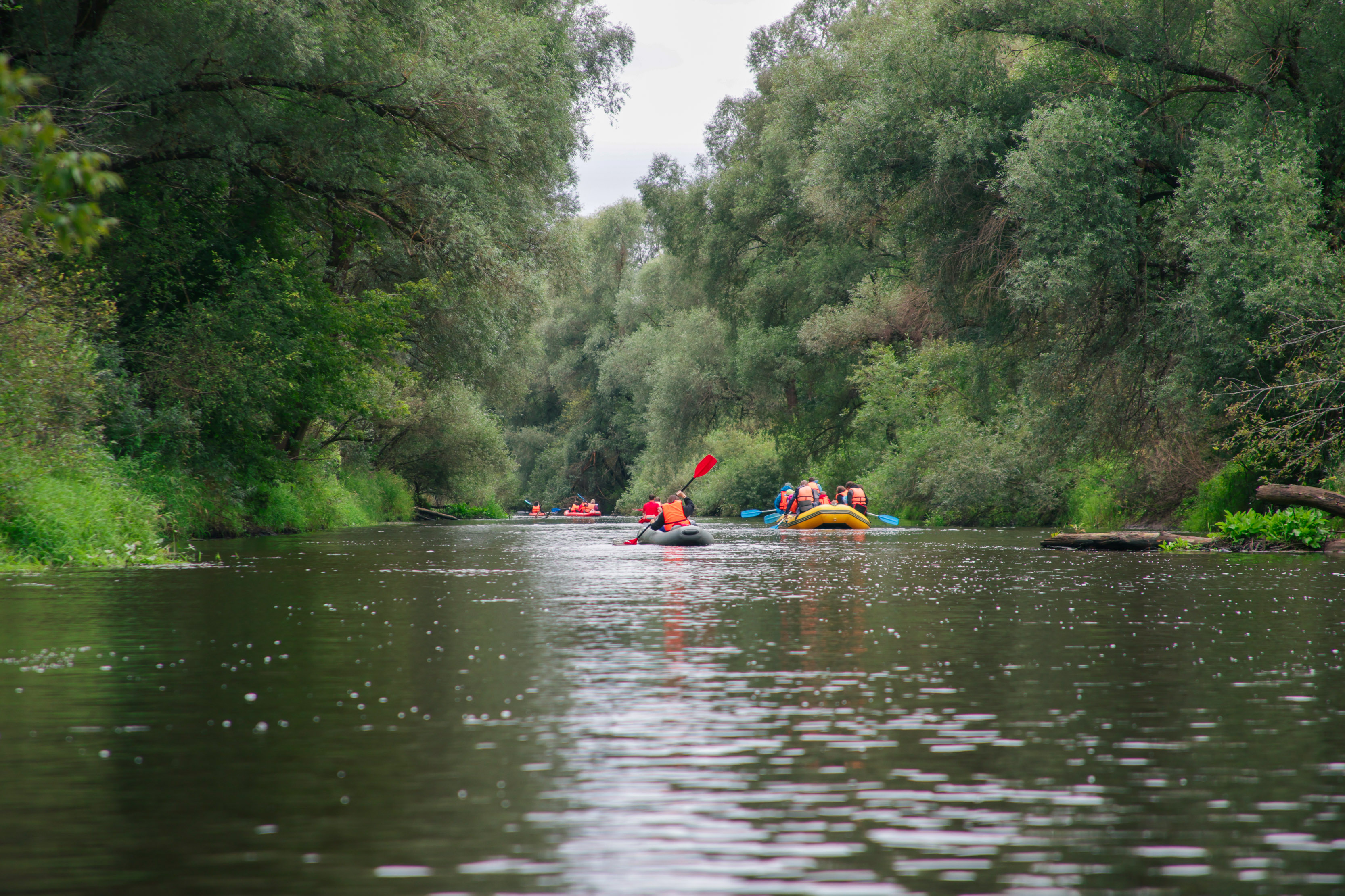 Корпоративный сплав